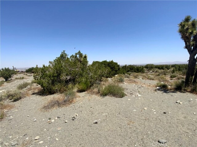 2975 Yucca Terrace Dr, Pinon Hills, CA 92372
