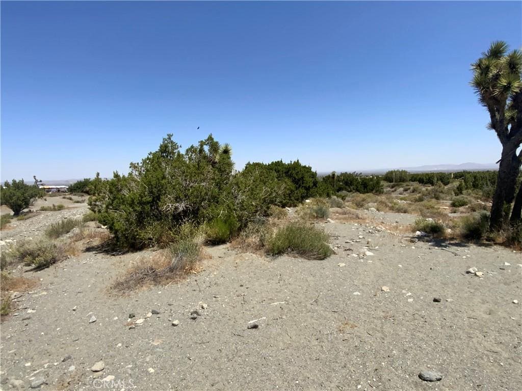 2975 Yucca Terrace Dr, Pinon Hills, CA 92372 - photo 3
