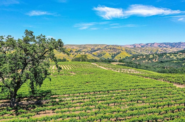 view of mountain feature with a rural view