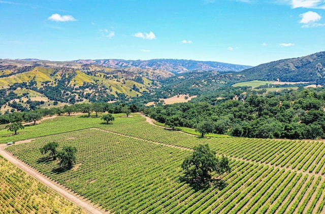 drone / aerial view featuring a mountain view and a rural view