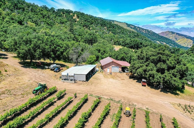 drone / aerial view with a rural view and a mountain view