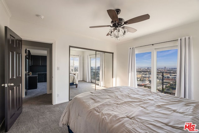 bedroom with ceiling fan, crown molding, a closet, and carpet floors