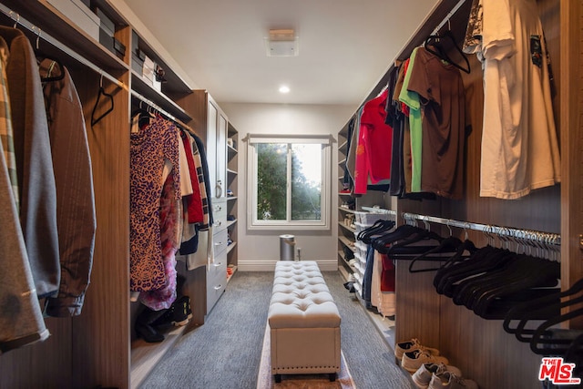 walk in closet featuring carpet flooring