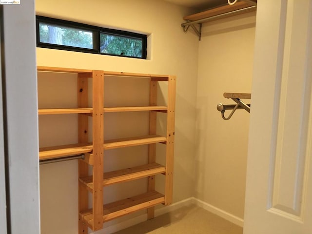 view of walk in closet