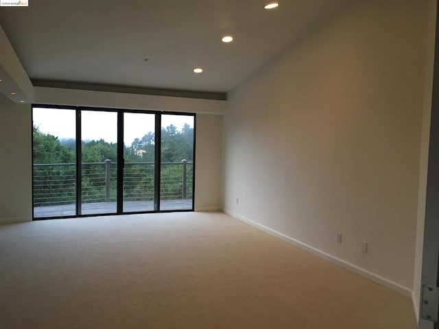 spare room with a healthy amount of sunlight and light colored carpet