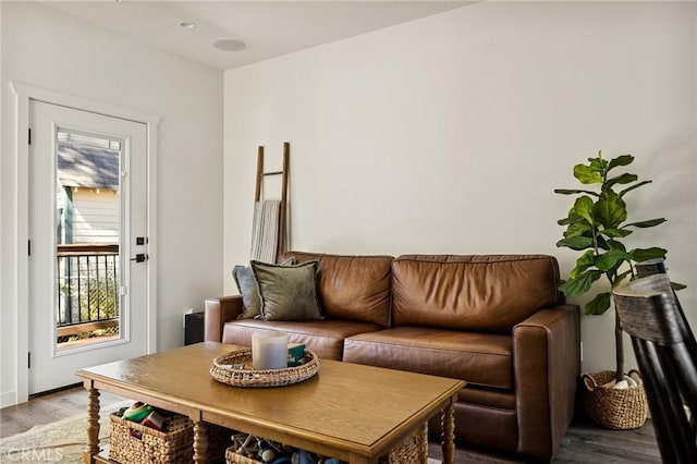 living room with wood-type flooring