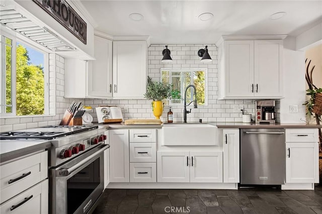 kitchen with white cabinets, appliances with stainless steel finishes, and a healthy amount of sunlight