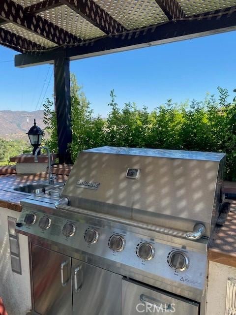 details featuring a mountain view and sink