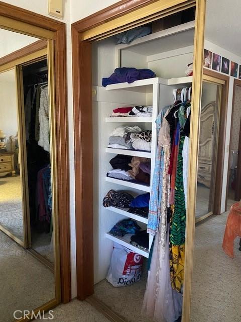 view of closet