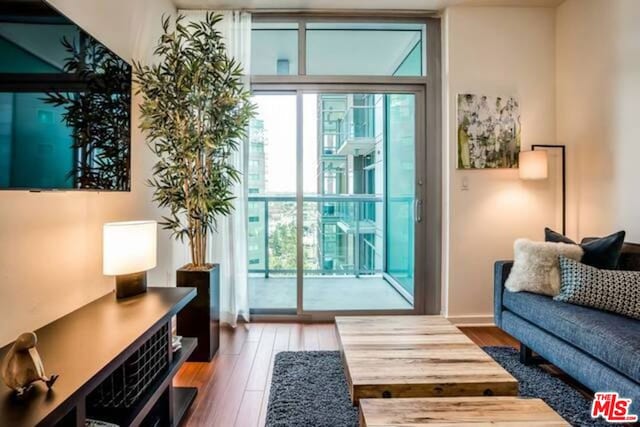 doorway with hardwood / wood-style floors and plenty of natural light