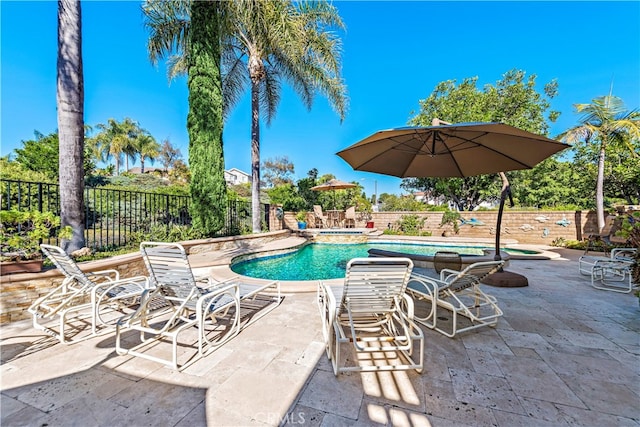 view of swimming pool featuring a patio