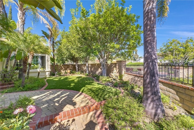 view of yard featuring a patio area