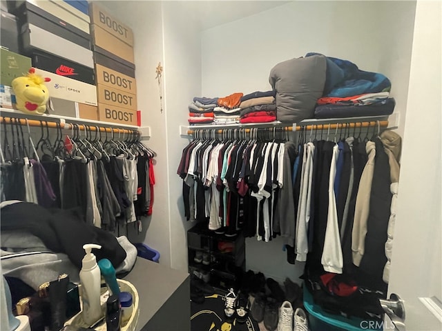 view of spacious closet