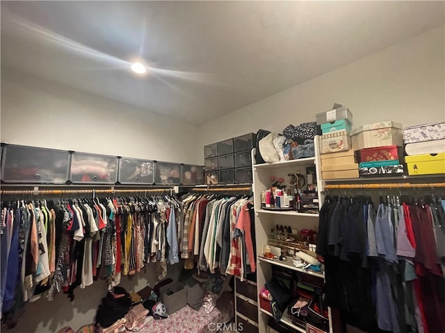 walk in closet featuring carpet floors