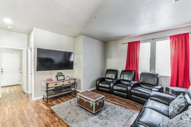 living room with wood-type flooring