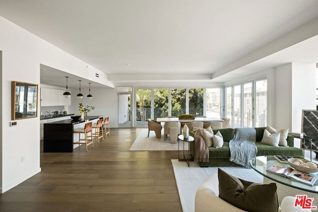 living room with wood-type flooring