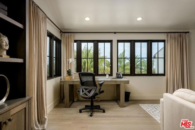 office featuring light hardwood / wood-style floors