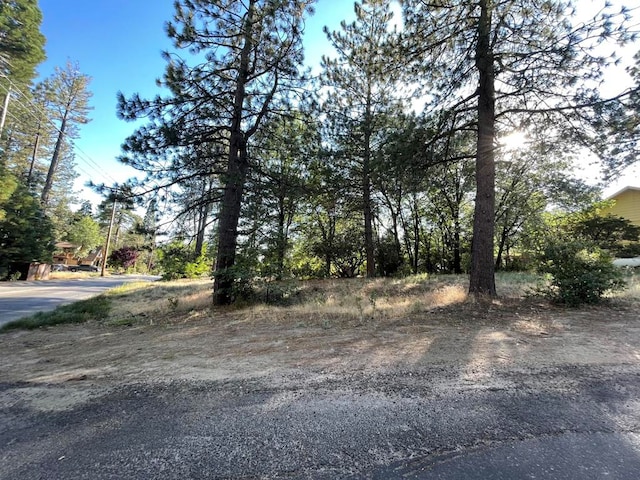 Listing photo 3 for 0 Pinecrest Ave, Idyllwild CA 92549