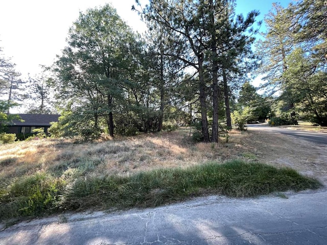 0 Pinecrest Ave, Idyllwild CA, 92549 land for sale