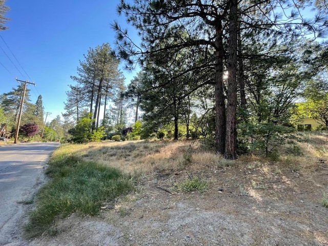 Listing photo 2 for 0 Pinecrest Ave, Idyllwild CA 92549