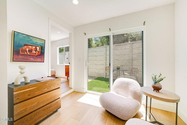 sitting room with light wood-type flooring