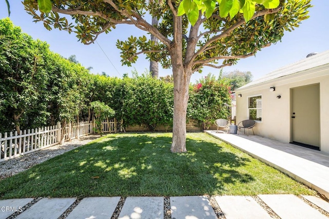 view of yard with a patio area