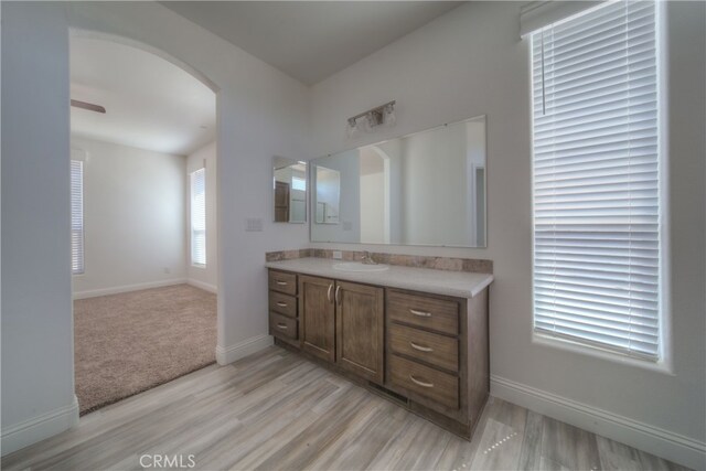 bathroom with hardwood / wood-style flooring and vanity