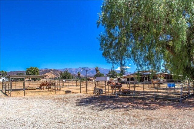 view of yard featuring a rural view and a mountain view