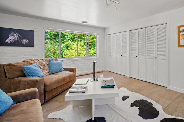 living room featuring rail lighting and light hardwood / wood-style flooring