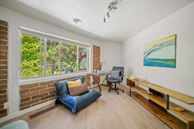 living area featuring track lighting, a healthy amount of sunlight, and light wood-type flooring