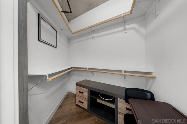 walk in closet featuring dark hardwood / wood-style floors