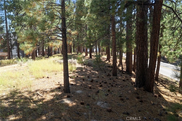 Listing photo 3 for 0 Forest Rd, Big Bear Lake CA 92315