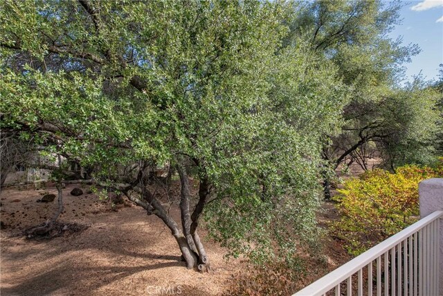 10 Hidden Brooke Way, Chico, CA 95928 - view of yard