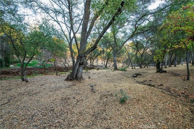 10 Hidden Brooke Way, Chico, CA 95928 - view of undeveloped land