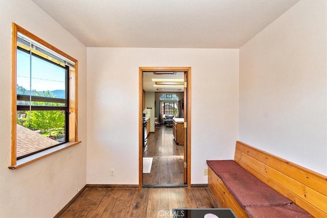 corridor with plenty of natural light and dark hardwood / wood-style flooring