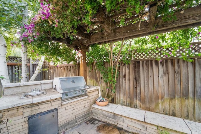 view of patio / terrace featuring area for grilling and an outdoor kitchen