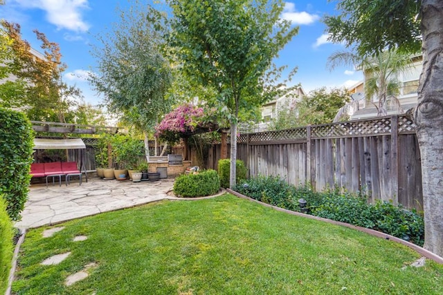 view of yard with a patio area