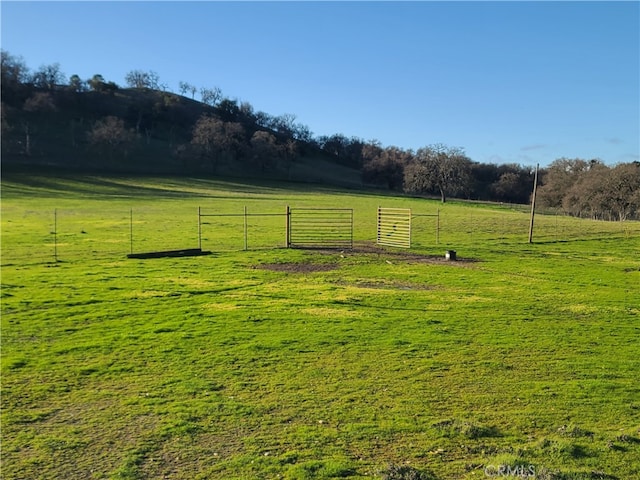 view of yard with a rural view