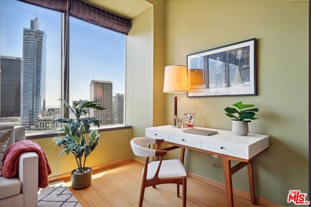 home office featuring light hardwood / wood-style flooring