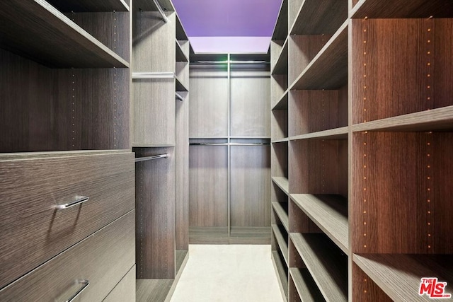 view of spacious closet