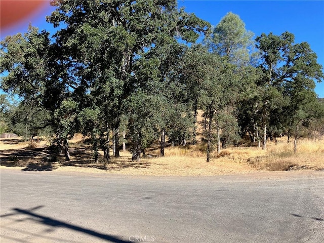 16108 36th Ave, Clearlake, CA 95422