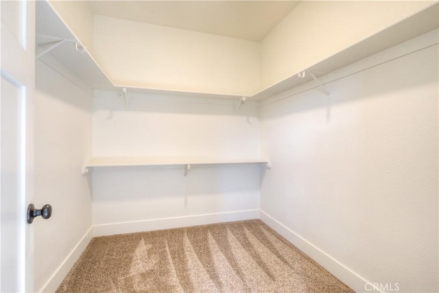 spacious closet with carpet