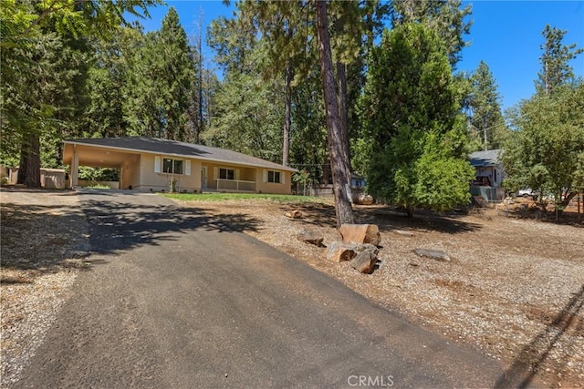 view of front of house featuring driveway and an attached carport