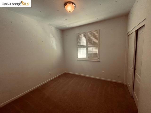 unfurnished bedroom with a closet and carpet floors