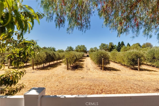 view of yard with a rural view