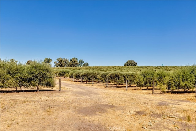 view of landscape featuring a rural view