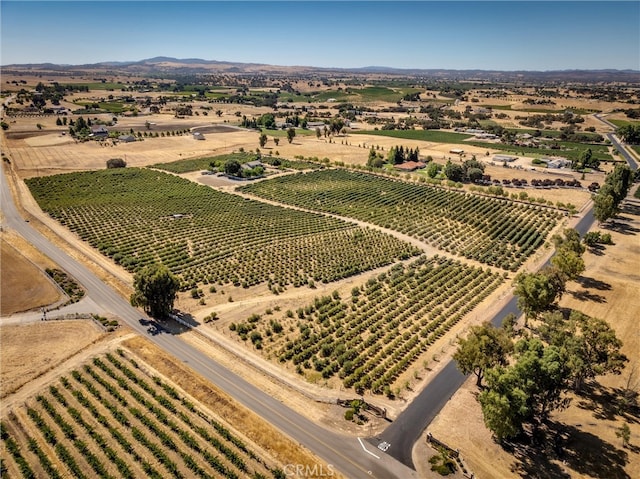 drone / aerial view featuring a rural view