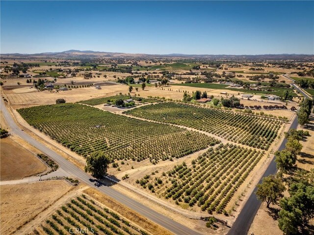 5055 Rancho La Loma Linda Dr, Paso Robles, CA 93446 - photo 47