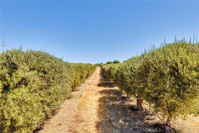 5055 Rancho La Loma Linda Dr, Paso Robles, CA 93446 - photo 39