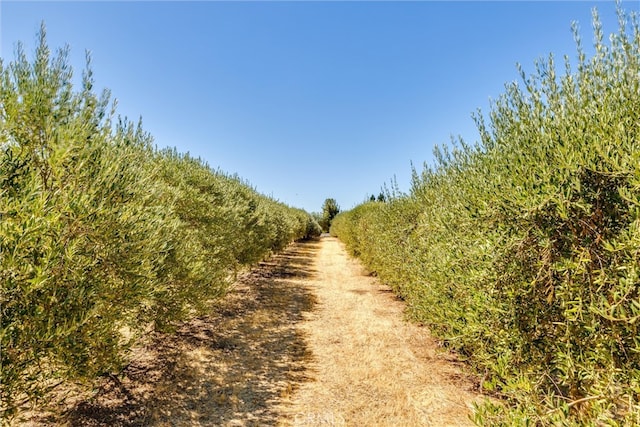 view of road with a rural view